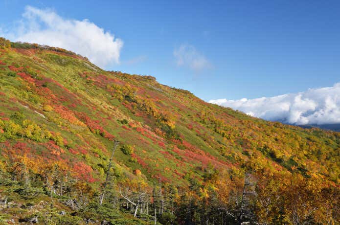銀泉台の紅葉
