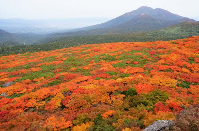 紅葉と岩手山