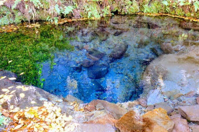 男池の湧水