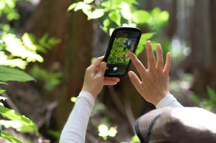 登山中にスマホで撮影をする人