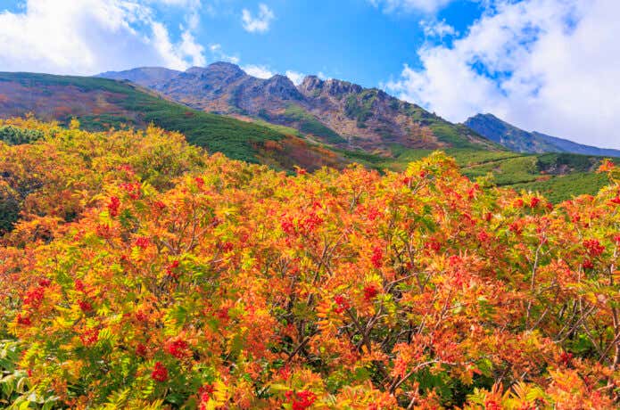 木曽御嶽山・八合目付近の紅葉