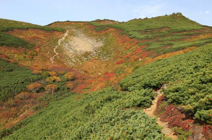 駒草平から見る赤岳の紅葉