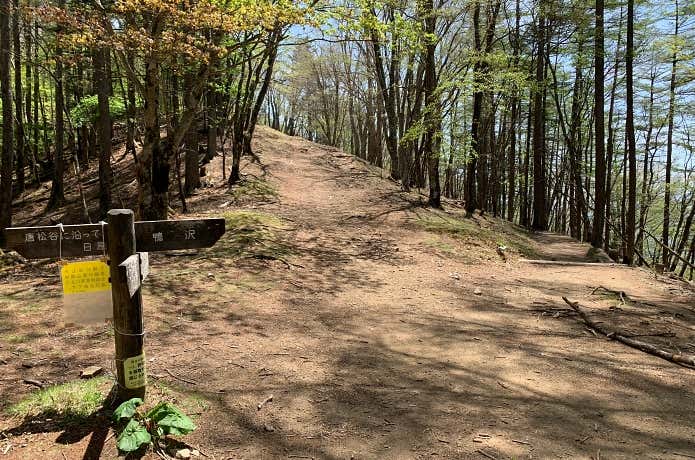 分岐や巻道など登山道が複雑に入り組んでいる奥多摩・雲取山の登山道