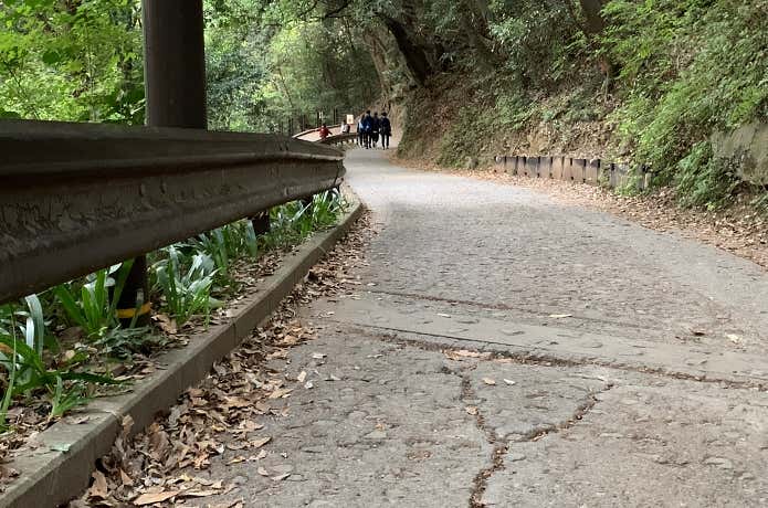 コンクリート舗装された高尾山・1号路にも急な傾斜が続く区間が