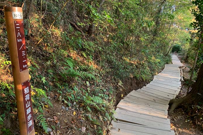 歩きやすい木道が整備された高尾山・稲荷山コース