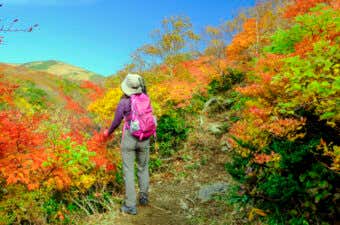 秋の登山道　登山者