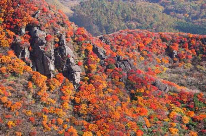 紅葉の三俣山