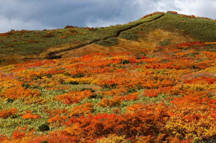 紅葉にそまる秋の山