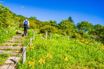 登山道　登山者