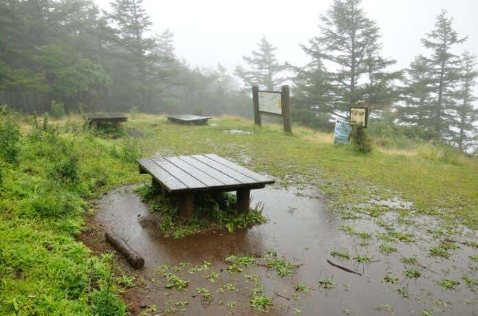 雨に濡れたベンチ