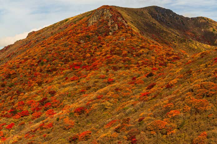 くじゅうの紅葉