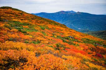 三ツ石山で紅葉登山｜立ち寄り湯もOKな人気の日帰り3コース