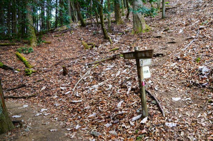 舟井戸の分岐