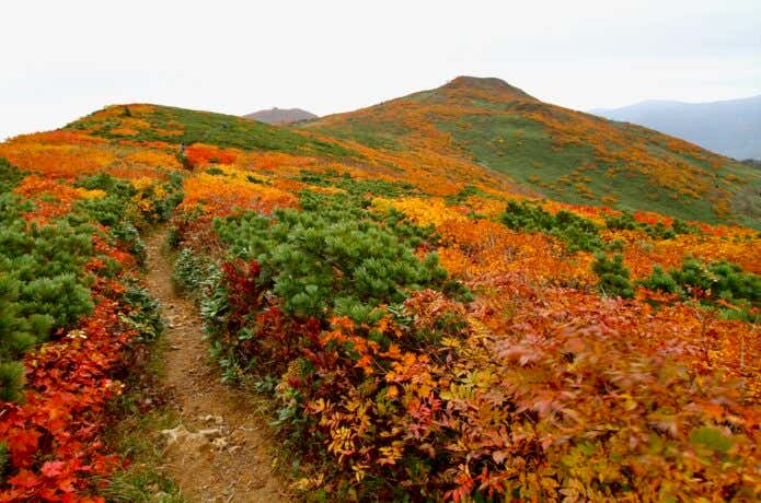 紅葉の三ツ石山