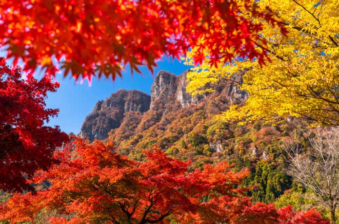 紅葉を楽しめる秋の山