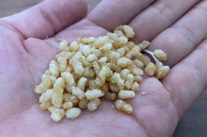 そのままでもお菓子のように食べることができる