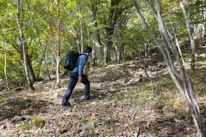 登山者