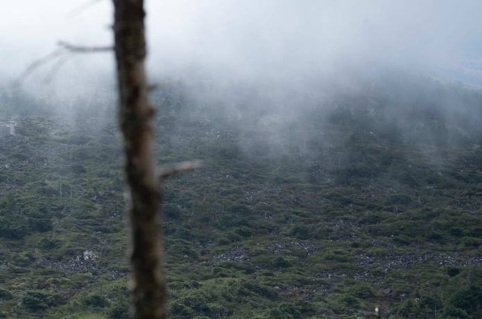 霧がかった山