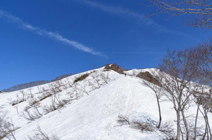 雪山の景色