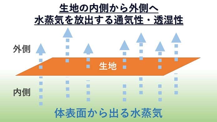 通気性と透湿性を説明するイラスト