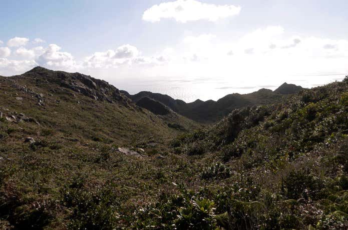 神津島　天上山