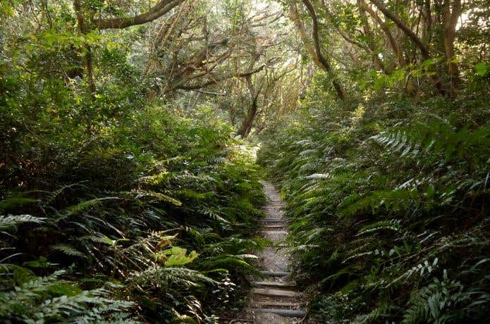 白島登山口ルート　天上山