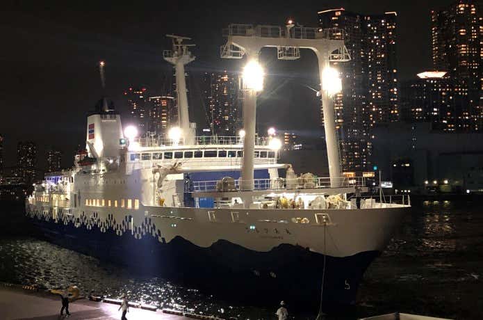 東海汽船　さるびあ丸