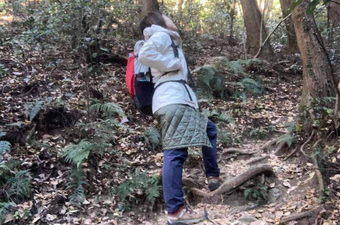 冬山の低山ハイクで暖かさや使い勝手を確認