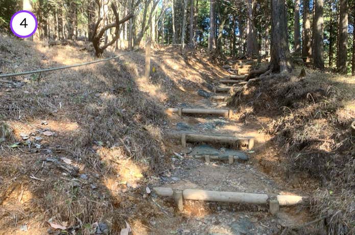 階段状の登山道