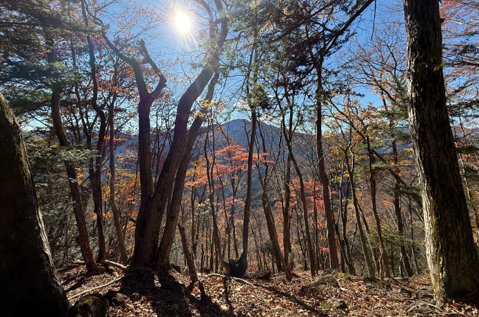 六ツ石山に向かう登山道からの眺め