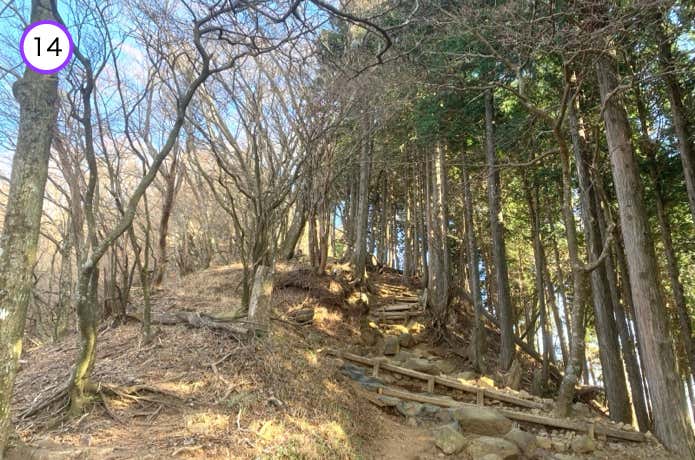 傾斜が増した稜線