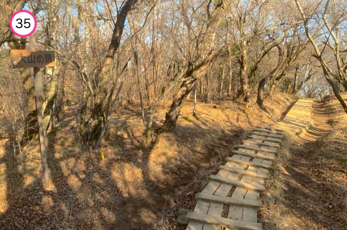大山の肩