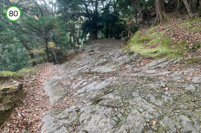 岩盤が露出した箇所