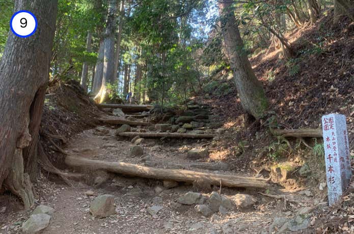 六丁目・千本杉