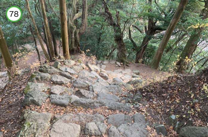 曲がりくねった石段