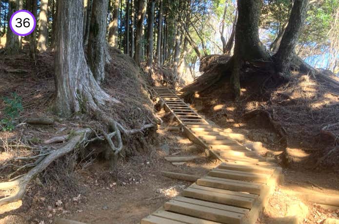 十七丁目へ続く木道