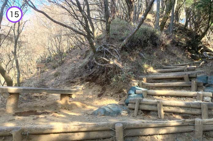 ベンチ