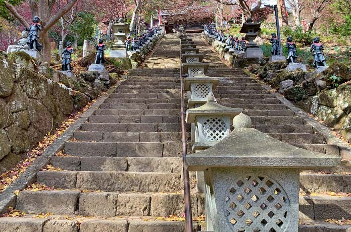 大山コースガイド|ケーブルを使わずじっくり女坂・男坂周回コース