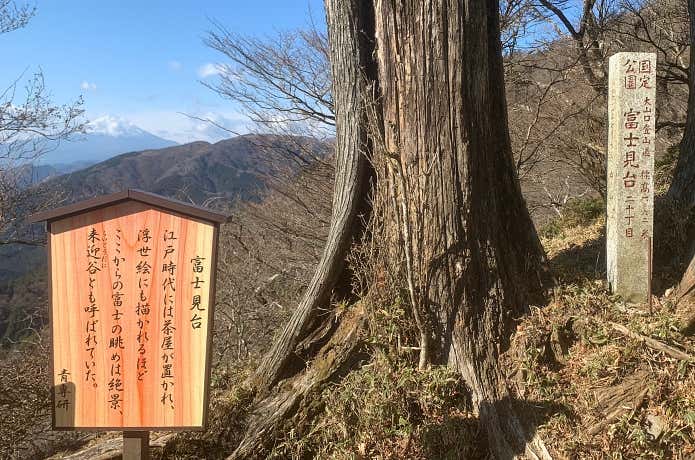 大山の富士見台