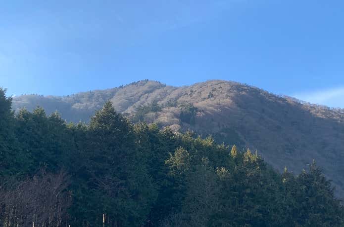 見晴台からの大山