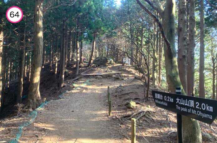 ゆるやかな稜線