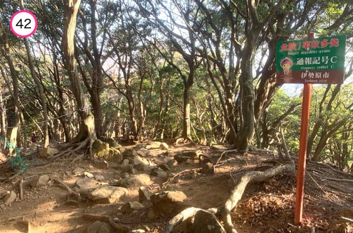 平坦な稜線