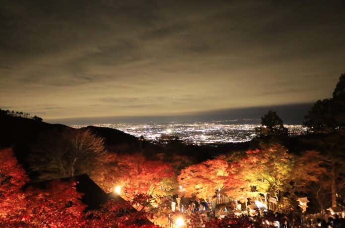 幻想的な大山の紅葉ライトアップ
