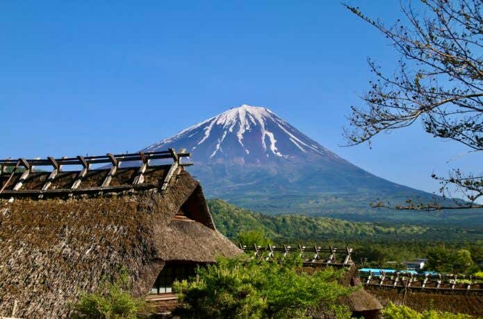 西湖いやしの里根場