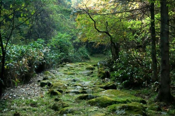 旧中山道・和田峠付近