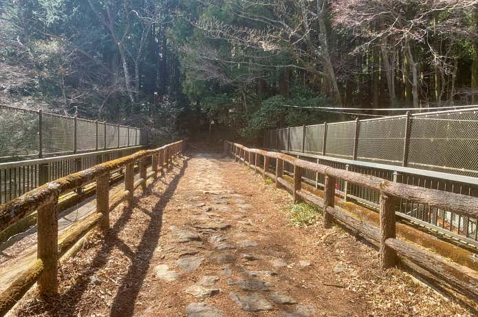 国道1号線箱根新道を渡る