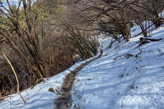 降雪後の陣馬新道