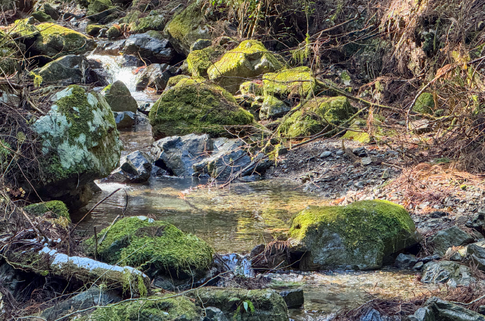 陣馬山登山道の沢