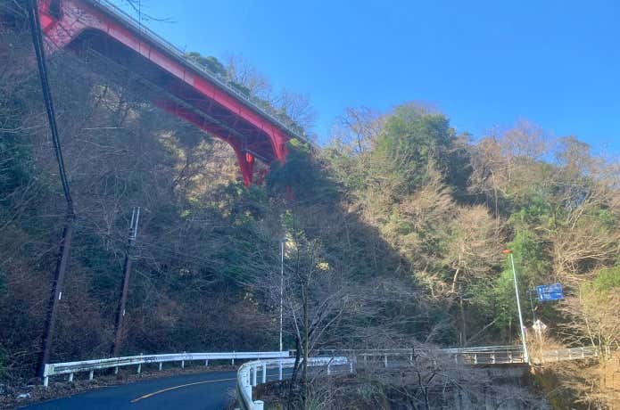 箱根新道を見上げる