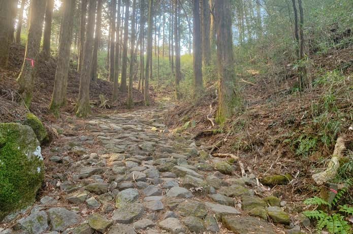 傾斜を増した白水坂